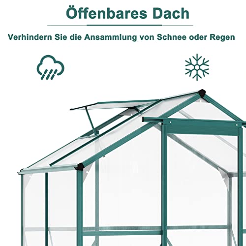 ️Aluminium Gewächshaus für den Garten mit Fundament, Gartengewächshaus