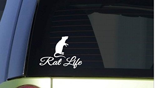 EZ-STIK Rat LifeI278 6