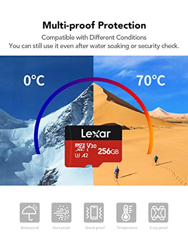 Lexar 256Gb Micro Sd Card And Rw310 Memory Card Reader #TOP7