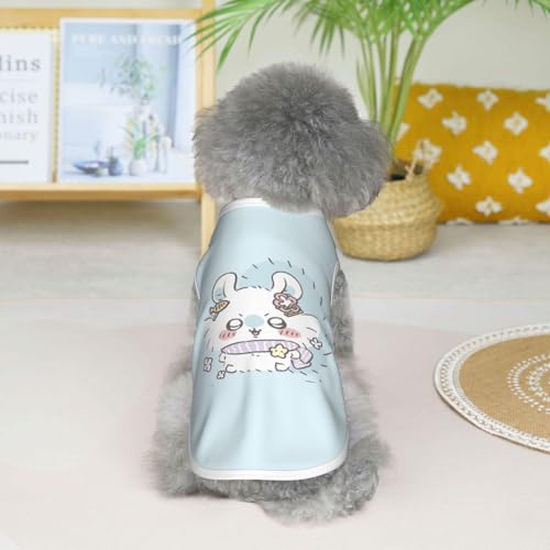 ���̕� �������� �������K �^���N�g�b�vT�V���c �y�b�g�� �y�b�g�E�F�A �t�ĕ� �h�b�O�E�F�A ������� ���킢�� �y�� �ʋC�� �L�k�� ���E�ȒP ���Ă��~�� �X�|�[�c�� �����^�� �o�|���p ���U�� �L�O�B�e �v���[���g