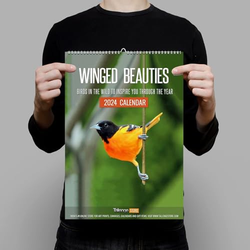 Image of Tallenge - New Year 2025 Wall Calendar - Winged Beauties, Birds - 12 x 17 Inches for Home & Office (Paper, Wall Calendar)