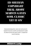  Ed Sheeran Copyright Trial About Marvin Gaye\'s Soul Classic \