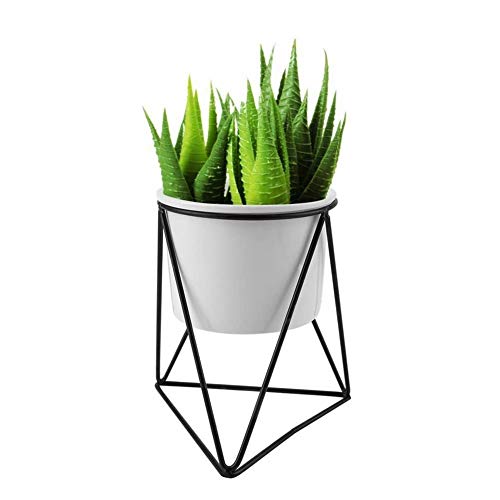 WUHUAROU Maceta de metal para plantas, soporte para plantas con forma de triángulo, estructura de metal geométrica, soporte de pie para plantas jugosas, color blanco Cover