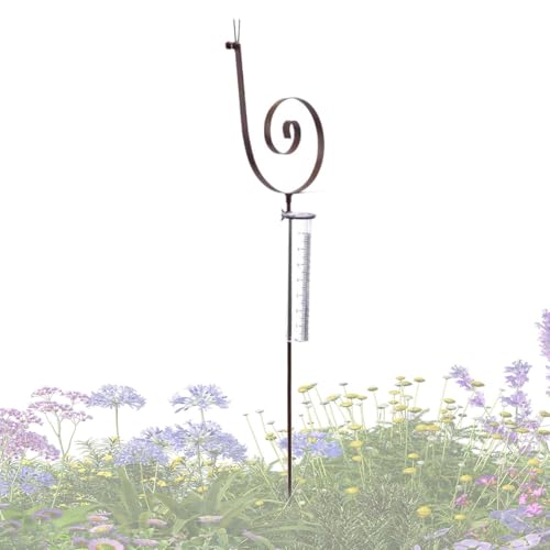 Herramienta meteorológica para jardín – Colector de agua de metal decorativo, medidor de lluvia de tubo de vidrio, figura de caracol para patio, accesorio de regalo | Instrumento de medición para
