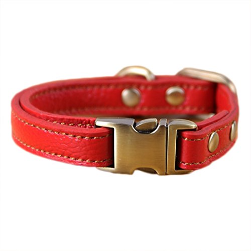 Basic Lederhalsband Klickverschluss Hundehalsband Einstellbare Martingal Halskette Hundehalsung Kettenhalsband Leder Dog Collar für Kleine Mittelgroße Grosse Hunde (S, rot) Cover