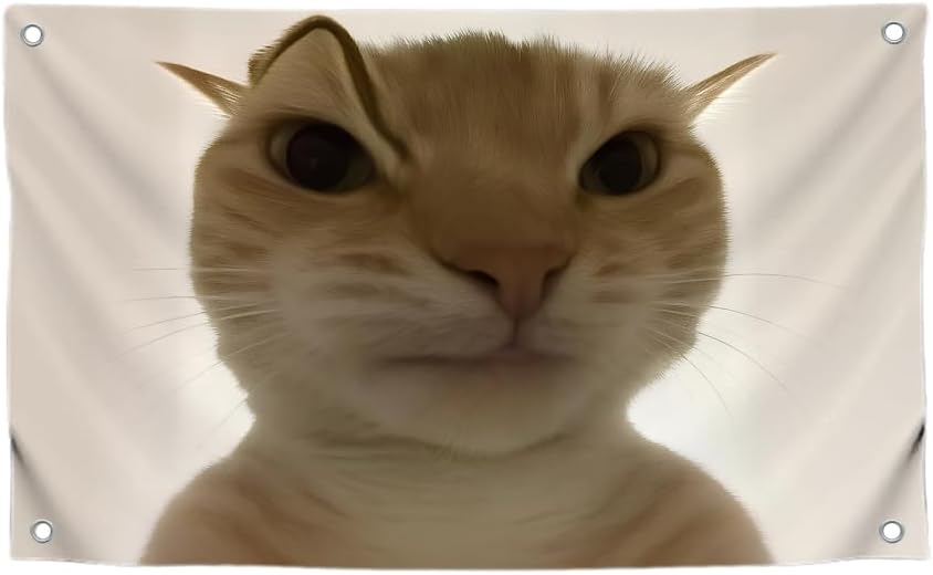 3x5 Feet Hilarious Cat Meme Flag with Four Brass Grommets - Single Sided Tapestry Posters with Cute Animals - Polyester Wall Durable Flags for Apartment Aesthetic Decor - Comical Banner for Room Kids