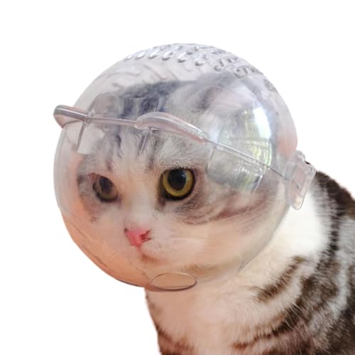 gѓdbJbvz_[A@\J[}EgN[hA5.83x5.31x1.97C`\ȈdbI[KiCU[AgbNp̔񊊂VRx[XAyʉKȃ}XN