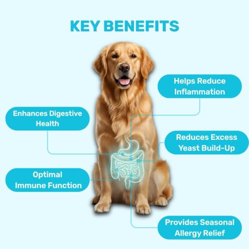 Image of Absolut Pet Probiotic Gut Health Powder for Dogs | 90 Servings