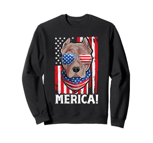Pit-bull USA �����I�Ȍ��̃A�p�����A�A�����J���� �����J �����Y �g���[�i�[