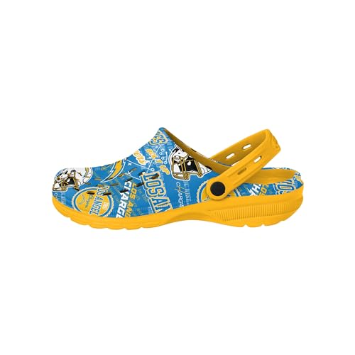 Image of FOCO Arizona Cardinals NFL Mens Historic Print Clog with Strap