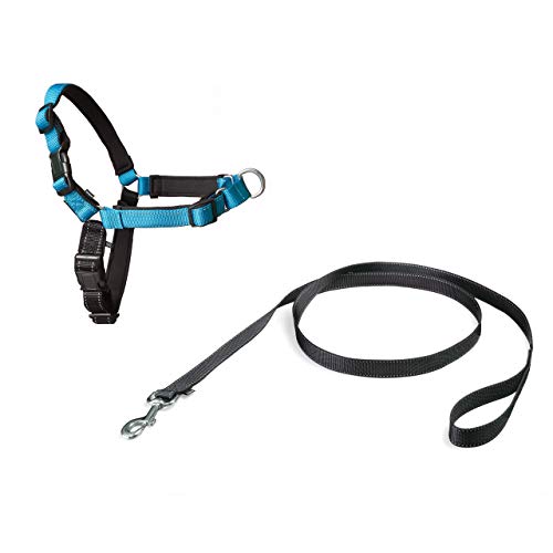 easy walk medium large