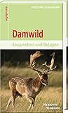 damwild rezept  Damwild: Ansprechen und Bejagen