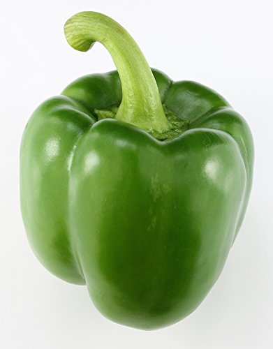 Paprika grün frisch,3 er Packung