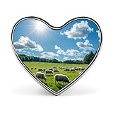 Ámbito de aplicación: El broche en forma de corazón tiene un hermoso diseño y es moderno, adecuado para usar en camisas, camisetas, camisas de manga corta, chaquetas y otras prendas. Adecuado para usar en fiestas, bodas, ceremonias, vida diaria, celebraciones y otros eventos, es un accesorio perfecto para la ropa.