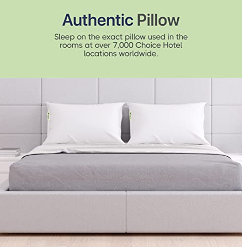 Choice Hotels CHOICE HOTEL GREEN LABEL Authentic Choice Hotels’ Polyester Luminesse Hypoallergenic Green Label Luxury Soft Pillow thumb #5