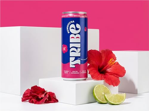 Image of Tribe Kombucha Probiotic Super Drink | Supports Gut Health | Gluten-Free | Naturally Fermented | Super Refreshing | Gut Friendly | Improves Blood Sugar | Antioxidant and Hydration | No Added Sugar | 250 ML X 6 (BUSSIN LAVENDER + HIII BISCUS)