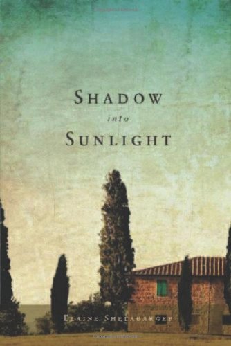 Shadow into Sunlight