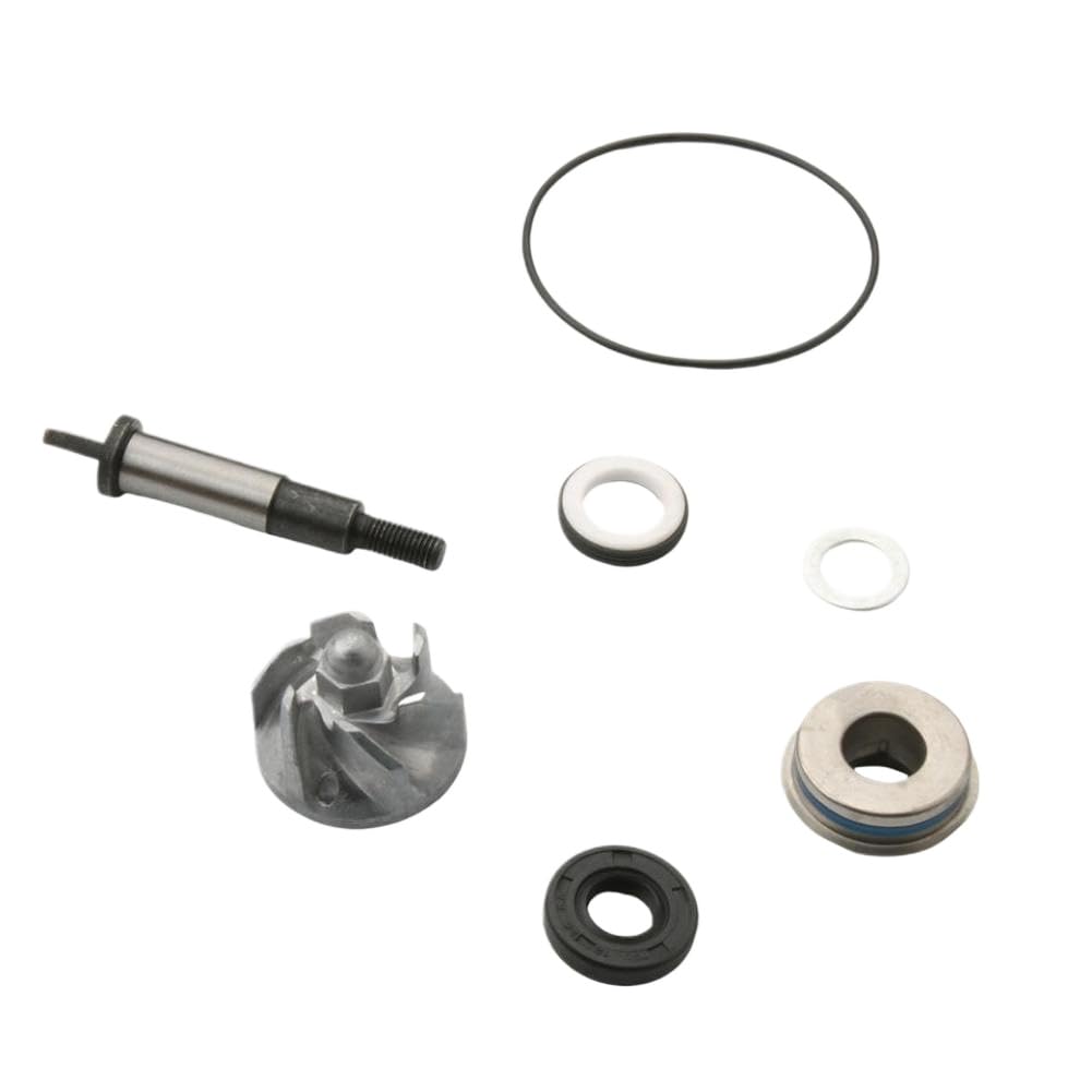 Kit di riparazione pompa acqua compatibile con SH 300 Forza 300 NSS300 SH NSS Scoopy 300i 100110520