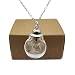 Dandelion Make a Wish Real Flower Cylinder Glass Ball Openable Pendant 925 Sterling Silver Necklace