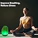 FANHAO USB Himalayan Salt Lamp with 8 Colors Changing, Natural Crystal Salt Rock Lamp Table Lamps for Gifts, Home Décor - Hand Carved, LED Bulb and Real Rubber Wood Base