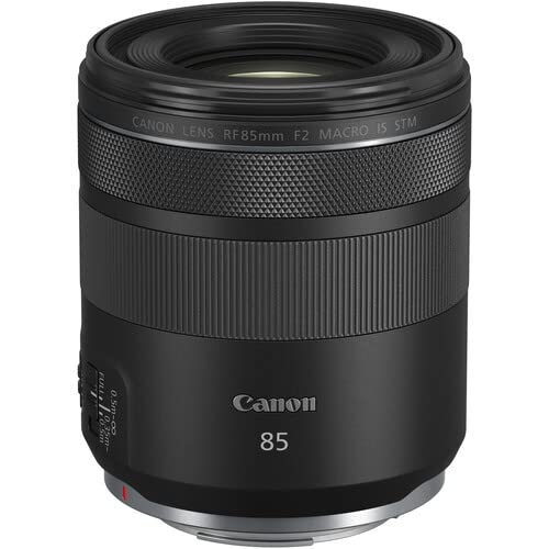 Canon RF 100-500mm lens
