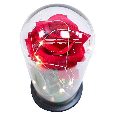 Luminária A Bela E A Fera A Rosa Encantada 22cm