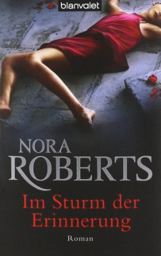 Preisvergleich Produktbild Im Sturm der Erinnerung
