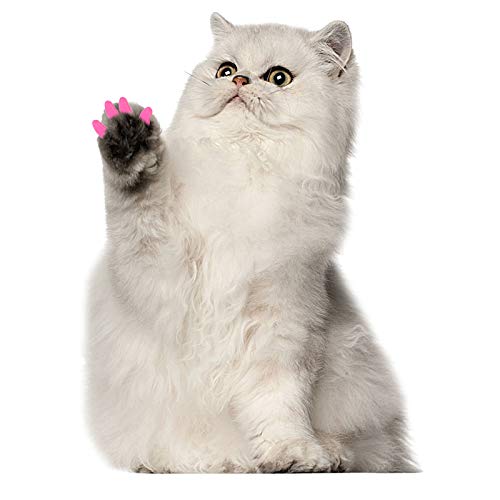 Capa para unhas pet capa anti-arranhões anti-arranhões com cola (azul + rosa M)