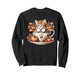 aesthetic cat stuff for autumn thanksgiving cute kitten fall felpa