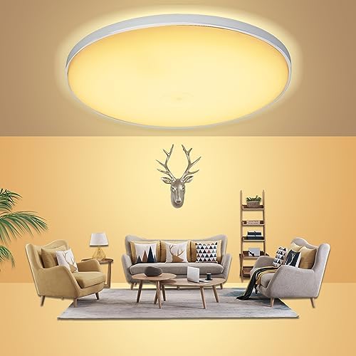 ACODA LED Ceiling Light Flush Mount, 24W 3500K Warm White Ceiling Light ...