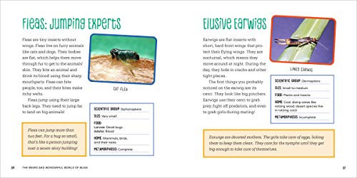 image for Rockridge Press The Weird and Wonderful World of Bugs: A Book About Be