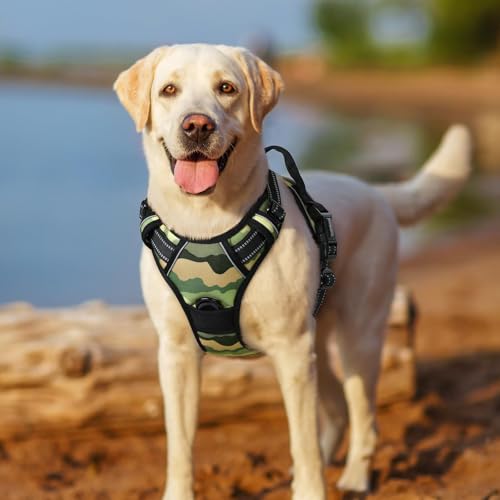 rabbitgoo Dog Harness, No-Pull Pet Harness with 2 Leash Clips, Adjustable Soft Padded Vest, Reflective No-Choke Pet Oxford Vest with Easy Control Handle for Medium Dogs, Green Mountain, M by rabbitgoo - Image 9