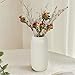 Ceramic Vase for Flowers – Modern Small Ribbed Textured Flower Vase for Home Decor, Pampas Grass, Decorative, Farmhouse, Coffee Table, Kitchen Centerpieces, Bookshelf and Home Living (Beige)