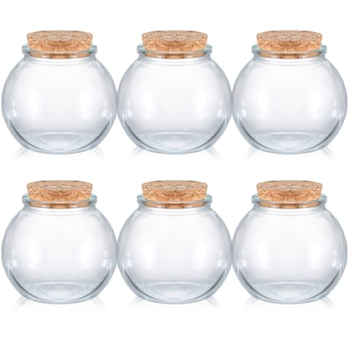 Havawish 6 Pcs Small Glass Bottles with Cork Stoppers 3.4 oz Round Decorative Glass Jar with Lid Clear Spherical Jars Message Wish Bottle for DIY Message Party Favors