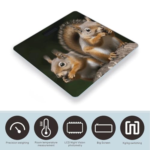 Báscula Digital de Baño Animal Ardilla miniatura 3