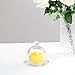 KVMORZE Glass Dessert Dome with Base, Mini Decorative Cake Tray with Glass Dome Cover, Cake Fruit Display Server Tray for Kitchen, Party, Weddings, Appetizer Dessert and Cheese Serving Platter