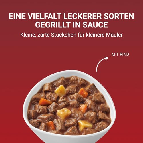PURINA ONE Mini/Small Active für kleine Hunde, reich an Rind, 26 x 85g