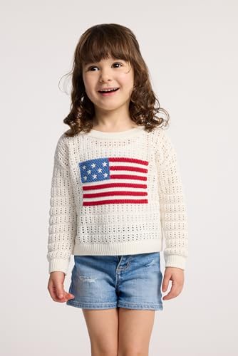 Image of Gymboree Girls and Toddler Long Sleeve Embroidered Crew Neck Pullover Sweater
