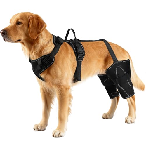 Vivifying Dog Hip & Leg Support Harness for Mobility Assistance, Adjustable Rear Leg Brace with Lift Handle for Injured or Senior Dogs, Joint Stabilizing Hind Leg Support for Walking, Recovery (L)