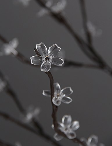 Event setup using multiple LIGHTSHARE trees with blossoms