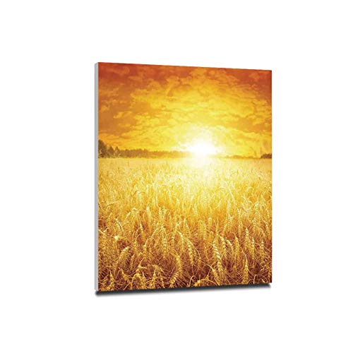 _̉Ƃ̑ 肷 a A[gpl 40x50cm ؐplt G G CeA Ǌ| Ǐ   iؘgt̊ij Ă̖q̓Iȓcȉ̓ciɒޗ[