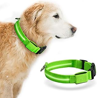 LED Dog Collar Baytion USB Rechargeable Light up Dog Collar with Rechargeable and Waterproof Flashing Light Glowing Small Medium Large Dogs