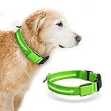 [Collar con luz LED recargable USB perfecto para perros]Al igual que los dispositivos móviles normales, el collar para perros parpadeante se puede cargar mediante un cable USB.De esta forma, no tiene que preocuparse por cambiar las pilas con frecuencia.No se incurrirá en costos adicionales.