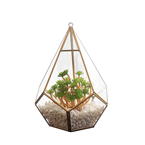 LTLCLZ Glass Plant Box Modern DIY Wall Mount Hanging Pyramid Geometric Terrarium Tabletop Succulent Display Clear Open Decorative Planter Flower Pot