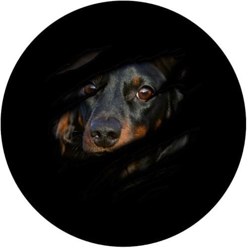 Miniatura 3 de Dachshund in me design, Dogdesign, Pedigree Dog PopSockets PopGrip agarre intercambiable para teléfonos y tabletas