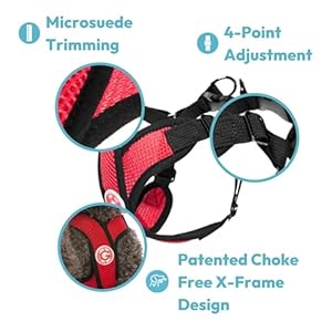 Gooby Comfort X Step in Harness – Pink, Medium – No Pull Small Dog Harness Patented Choke-Free X Frame – Perfect on The Go Dog Harness for Medium Dogs No Pull or Small Dogs for Indoor and Outdoor Use
