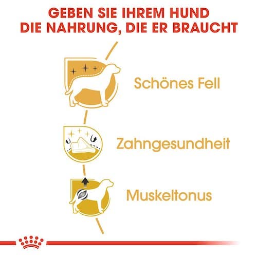 ROYAL CANIN Poodle Adult | Doppelpack | 2 x 500 g | Trockenfutter für ausgewachsene Poodle | Zur Unterstützung des Fells und des Muskeltonus | Für Hunde ab dem 10. Lebensmonat