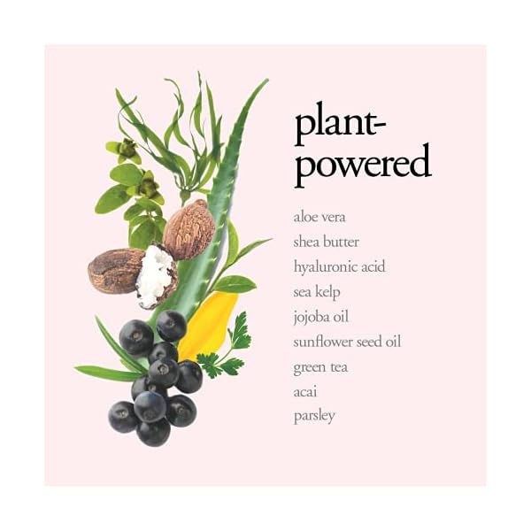 Bogavia-Essential-Facial-Lotion-Daily-Moisturizer-Night-Cream-Age-Defying-Hydrating-Plumping-Shea-Butter-Hyaluronic-Acid-Vegan-Fragrance-Free-Paraben-Free-Skin-Care-for-Women-Men Bogavia Essential Facial Lotion | Daily Moisturizer & Night Cream | Age Defying, Hydrating, Plumping | Shea Butter & Hyaluronic Acid | Vegan, Fragrance Free & Paraben Free | Skin Care for Women & Men