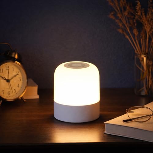 Image of One94Store Oval Shaped LED Table Lamp - USB Rechargeable Touch Night Light with 3 Modes, Dimmable Brightness by Long Press on Power Button, for Bedroom, Living Room, Study & Office (White, Pack of 1)