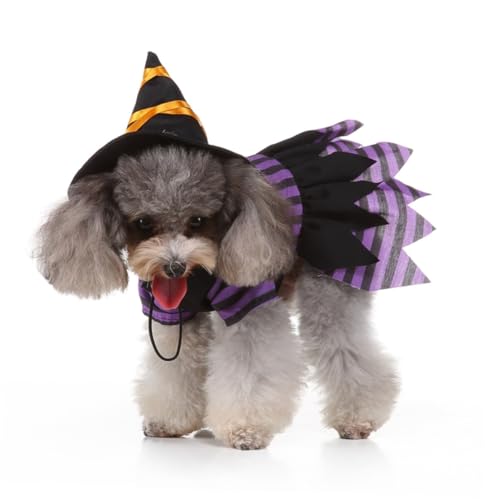Disfraz de Bruja para Perros Halloween Talla M miniatura 3